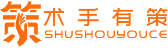 术手有策-上桌的筹码